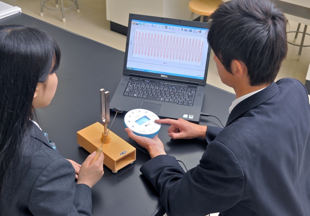 各臓器に対応・米国製ハンドメイド ヒューマンオーガンセット