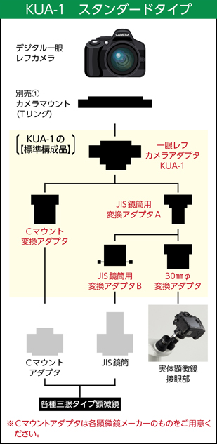 ケニスオンラインショップ - 商品詳細ページ ケニスオンラインショップ - 商品詳細ページ