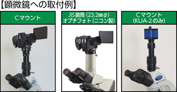 ケニスオンラインショップ － 商品詳細ページ